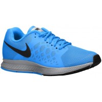 Nike Air Pegasus 31 Flash Herrenschuh Reflektierend Silber/Foto Blau/Schwarz